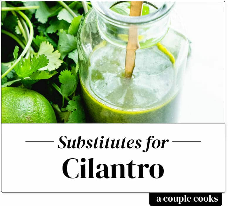 Cilantro Substitute