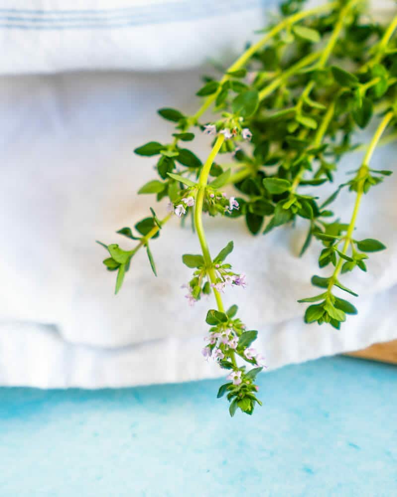 Thyme