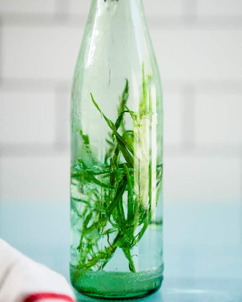 Tarragon vinegar