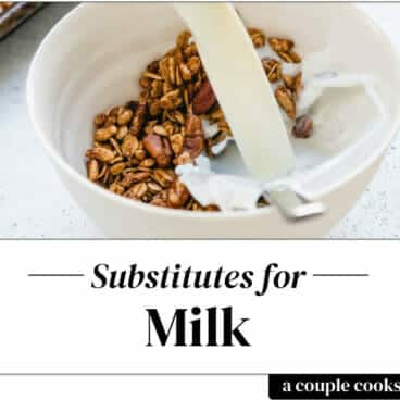 Milk substitute