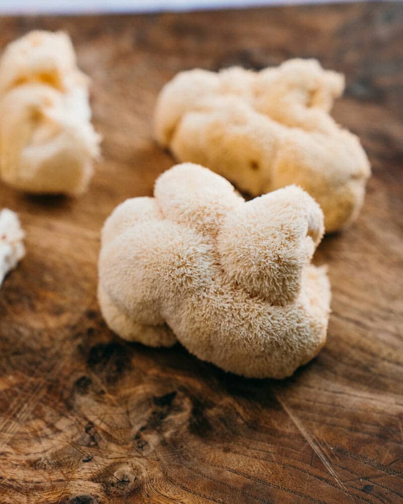 Lion's mane mushroom
