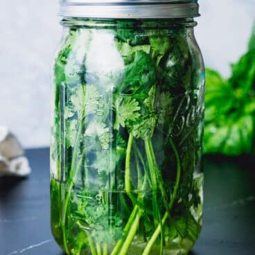 How to store cilantro