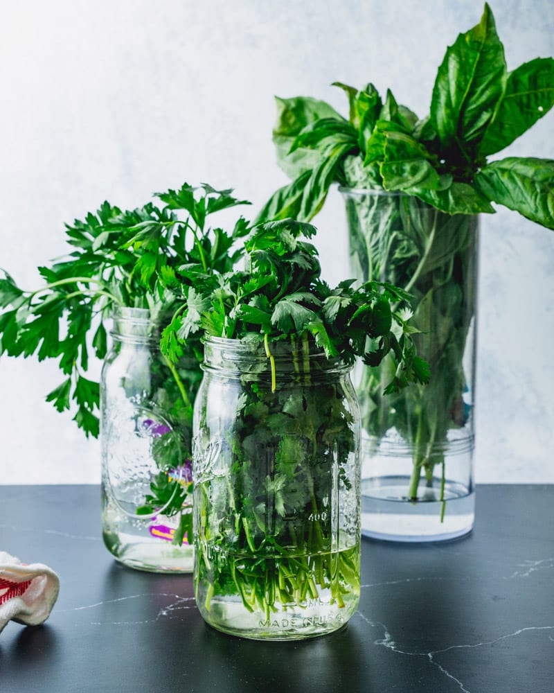 How to store fresh herbs