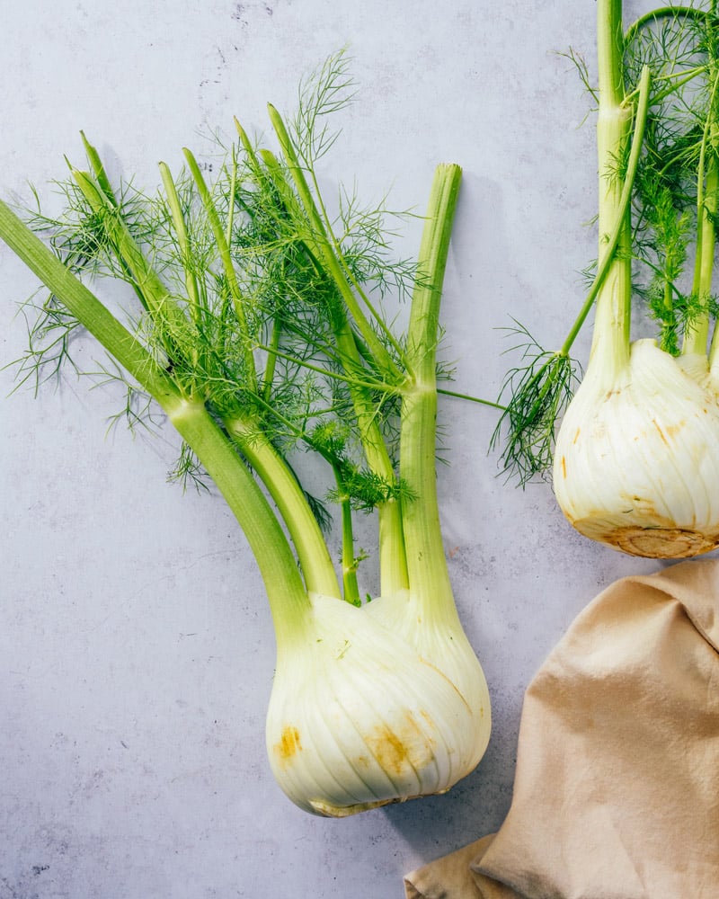 Fennel