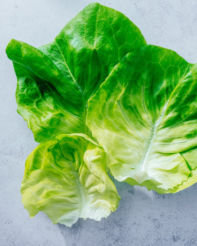 Butter Lettuce