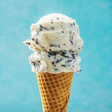 Chocolate Chip Ice Cream