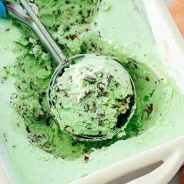 Mint Chocolate Chip Ice Cream