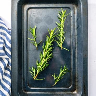 How to dry rosemary