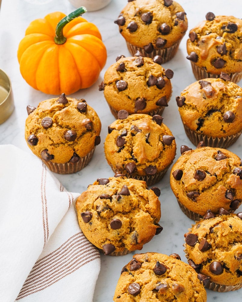 Chocolate chip pumpkin muffins