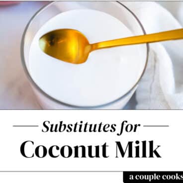 Coconut milk substitute
