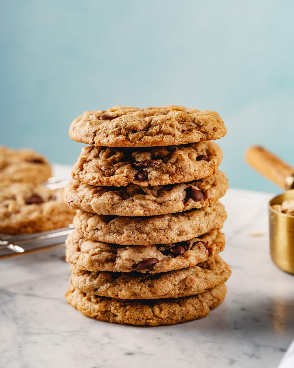 Vegan Oatmeal Chocolate Chip Cookies