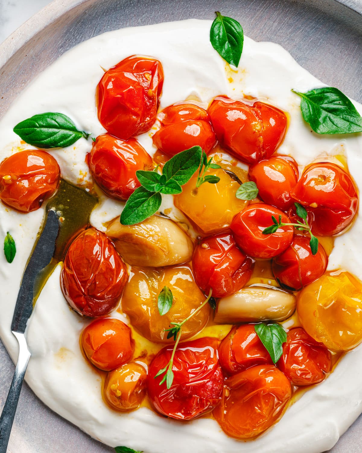Tomato Confit on plate with fresh herbs
