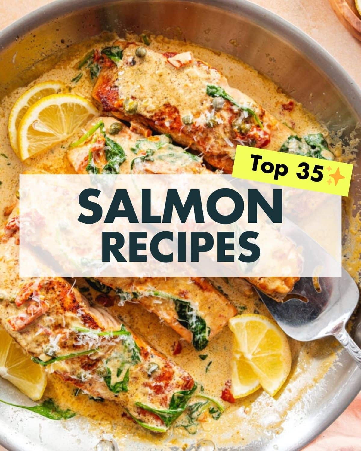 Salmon Recipes