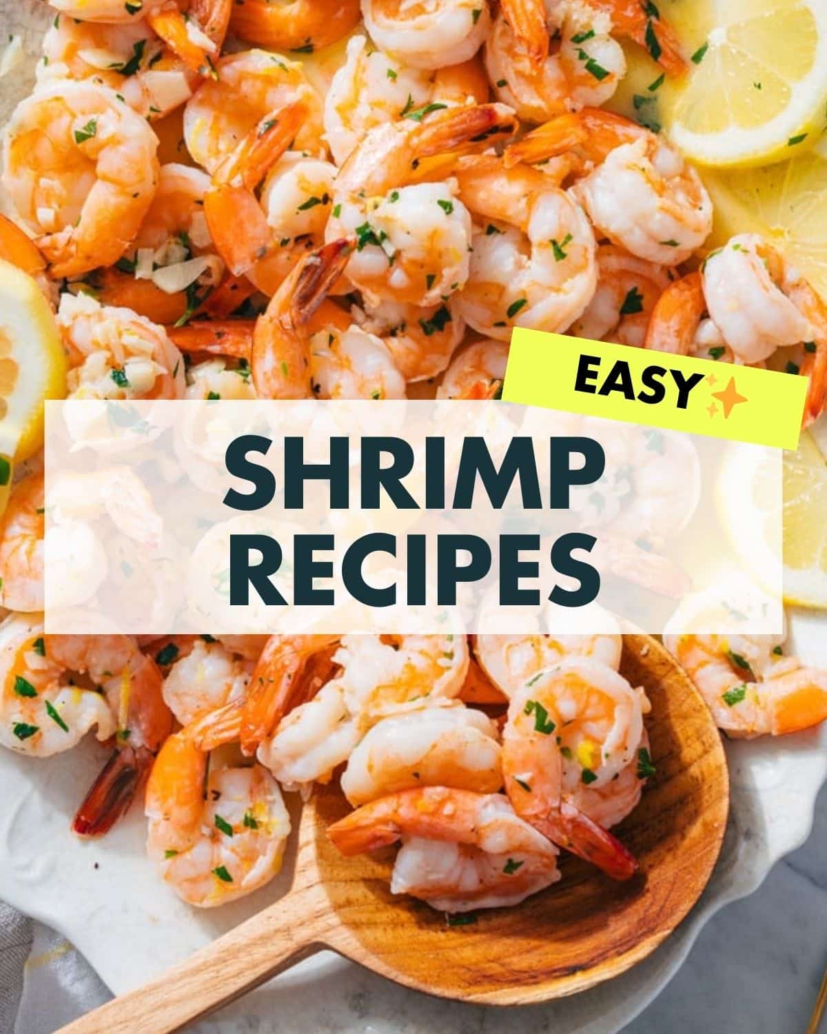 Shrimp Recipes