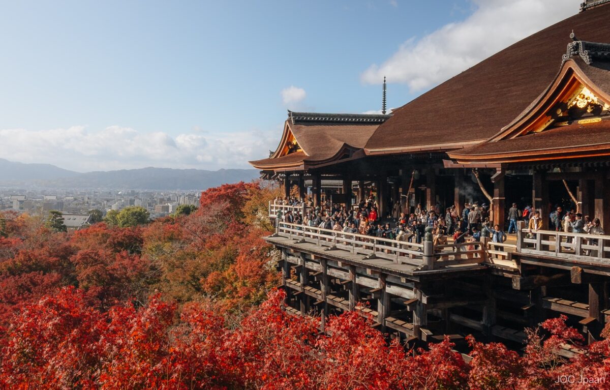 Vibrant autumn foliage surrounding Kiyomizu-dera Temple in Kyoto, Japan, showcasing traditional wooden architecture and scenic views during fall season.
